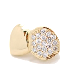 SILVER 14K Dipped Flooded Tooth