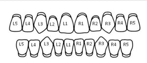 Silver Open Face Grillz